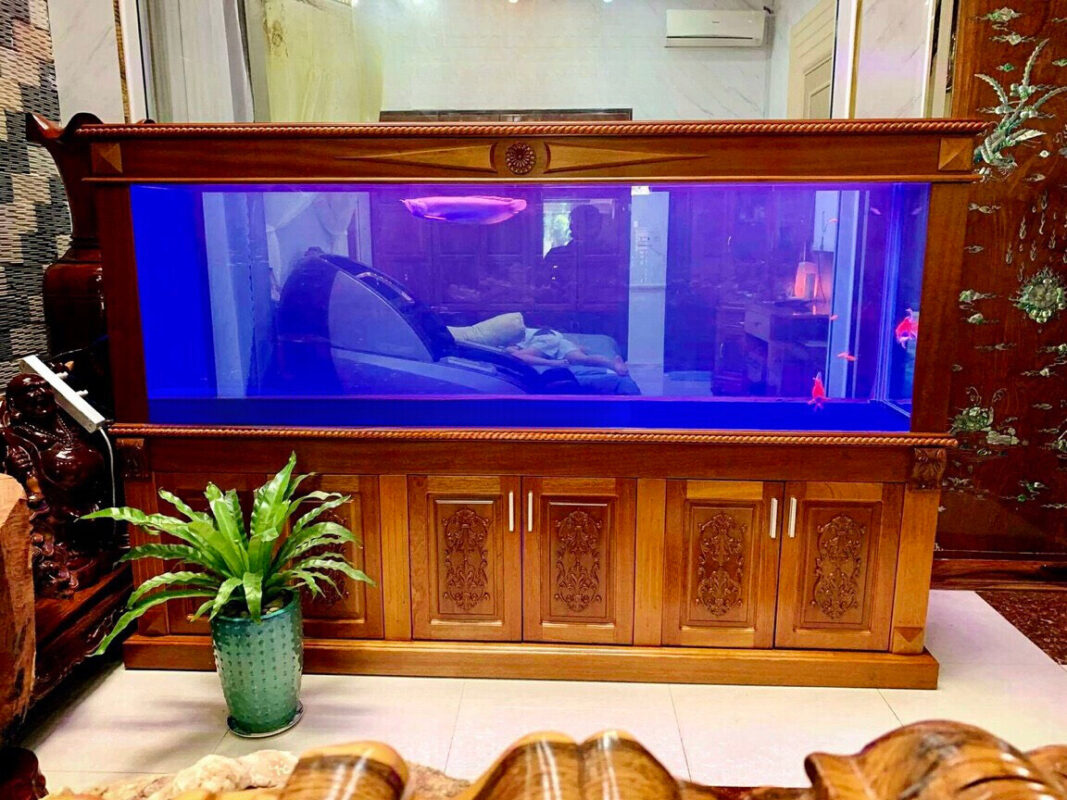 bể cá thủy sinh
