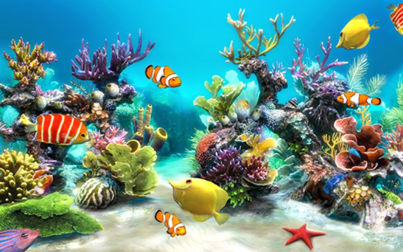 Ưu Điểm Của Bể Hải Sản Nhà Hàng Với Hệ Thống Lọc Hiện Đại