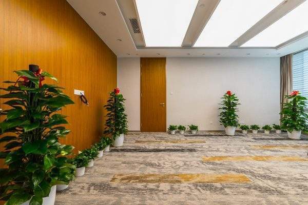 Thảm trải hội nghị giá rẻ tại hà nội