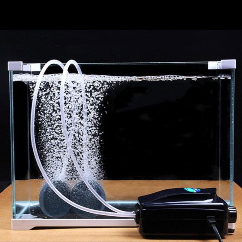 Máy sủi khí bể cá