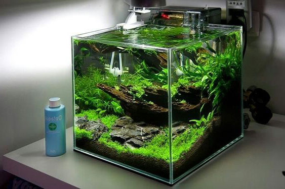 Những Vấn Đề Thường Gặp Và Cách Xử Lý