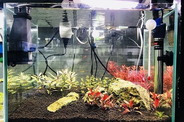 Máy sục khí bể cá nhỏ