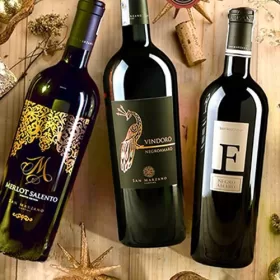 Rượu Vang Ý: Hương Vị Đậm Đà & Những Dòng Vang Ý Ngon Nên Thưởng Thức