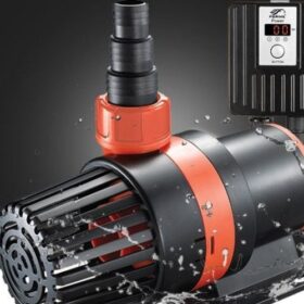 So sánh máy bơm nước bể cá trong – ngoài: Nên chọn loại nào?