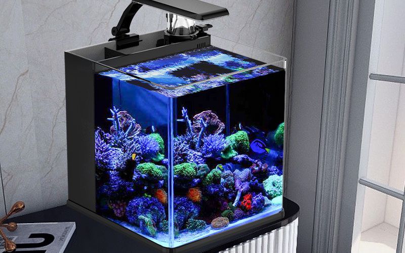 Các thiết bị thiết yếu không thể thiếu