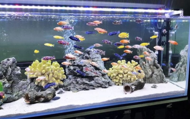 Những điều cần lưu ý khi lắp đặt và sử dụng đèn